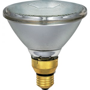 ELPA EBRF110V80WW ＥＬＰＡ　屋外ビームランプ１００形散光