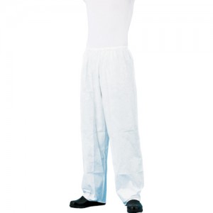 AZEARTH 3580-L アゼアス　タイベック（Ｒ）製ズボン　３５８０　Ｌサイズ